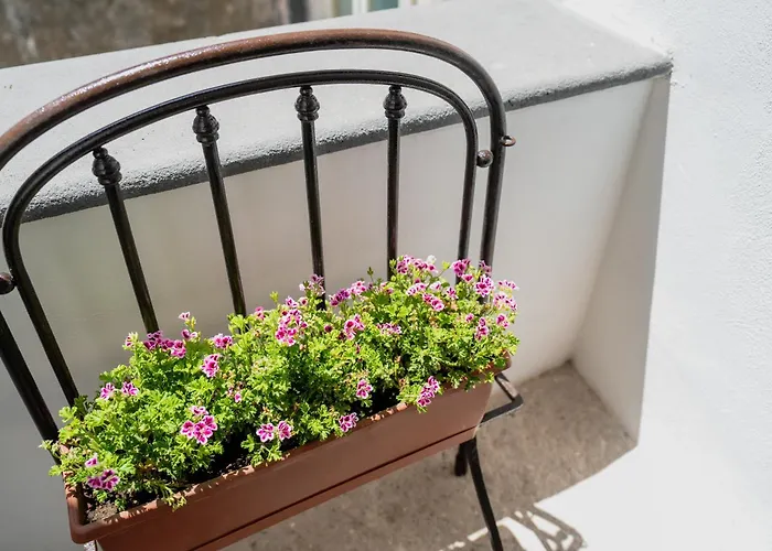 ベッド・アンド・ブレックファスト Terravecchia