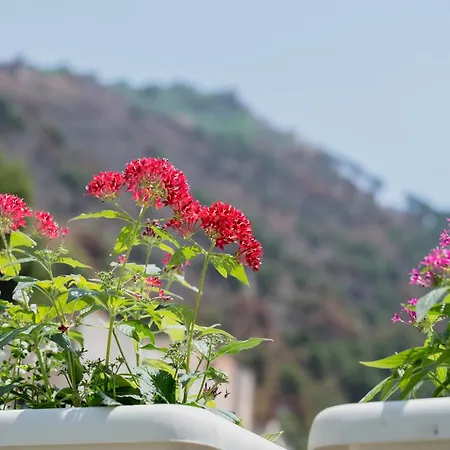 Terravecchia Alojamento de Acomodação e Pequeno-almoço