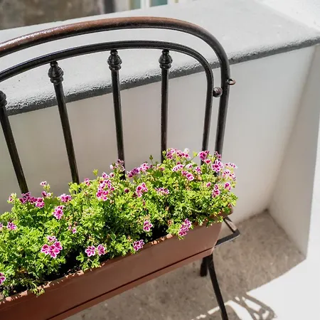 Alojamento de Acomodação e Pequeno-almoço Terravecchia