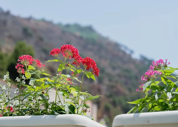Terravecchia לינה וארוחת בוקר